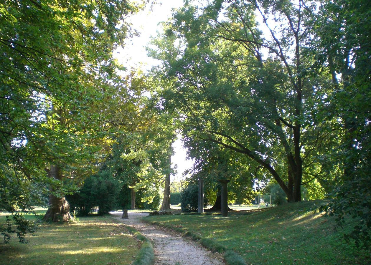 Villa Curti Sovizzo Kültér fotó